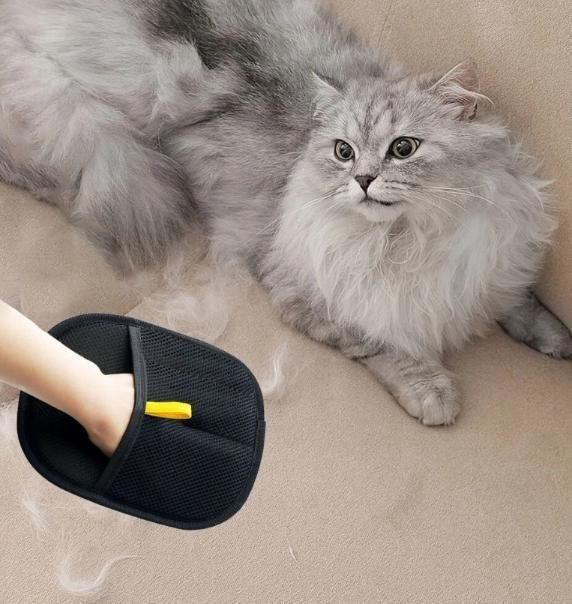 Dealdome® Pet Hair Removal Gloves – BUY 1 GET 1 FREE