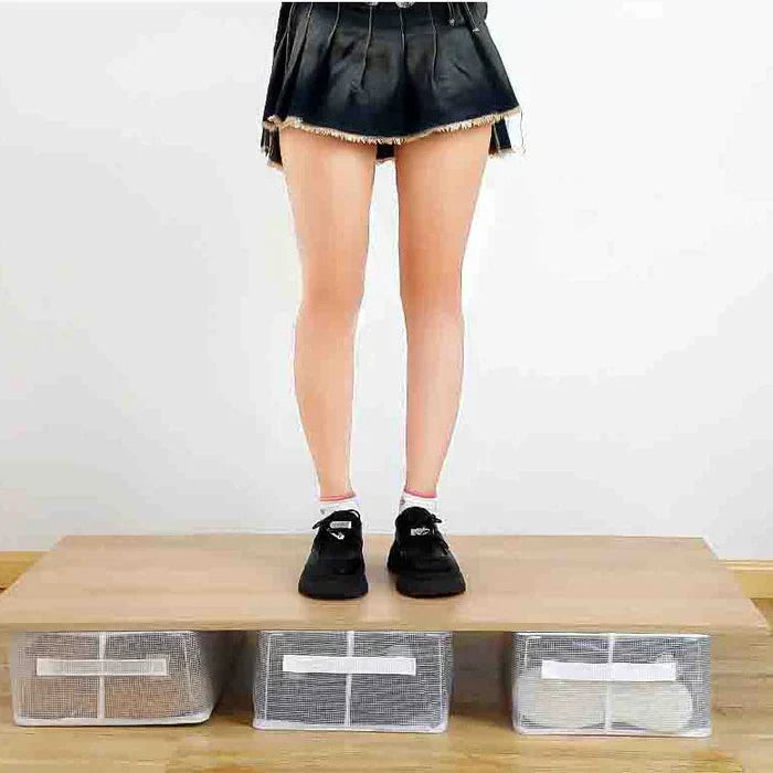 Multipurpose Transparent Storage Organizer (Extra Large Size)