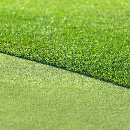 All Seasons Evergreen Grass Seeds | Fast Germination | Year-Round Beautiful Green Lawn
