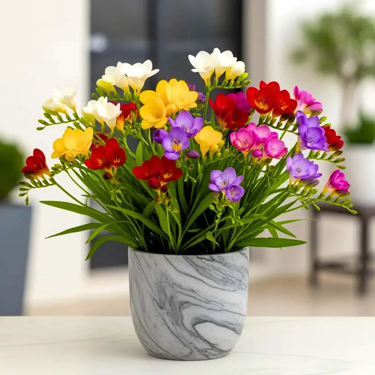 Fragrant Multicolor Flower Bulbs – Pack of 10