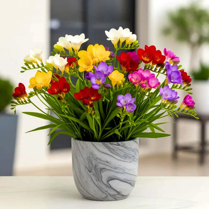 Fragrant Multicolor Flower Bulbs – Pack of 10