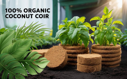 Organic Coconut Coir for Plants – Natural, Eco-Friendly Growing Medium for Healthy Plant Growth