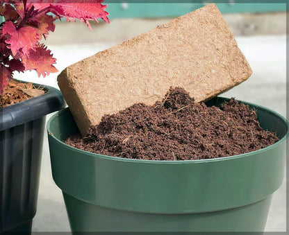 Organic Coconut Coir for Plants – Eco-Friendly Growing Medium for Healthy Plant Growth