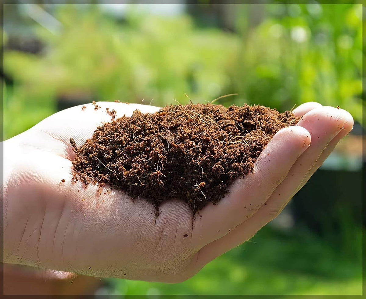 Organic Coconut Coir for Plants – Eco-Friendly Growing Medium for Healthy Plant Growth