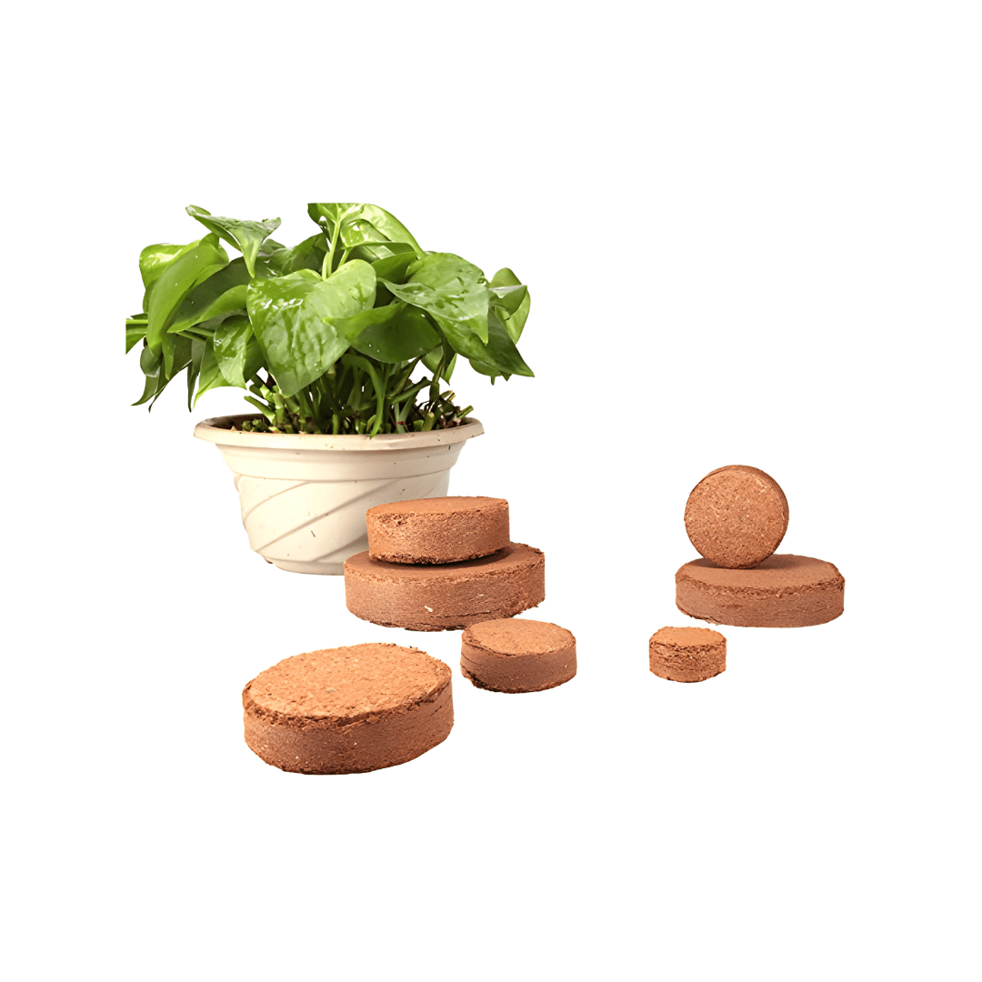 Organic Coconut Coir for Plants – Natural, Eco-Friendly Growing Medium for Healthy Plant Growth