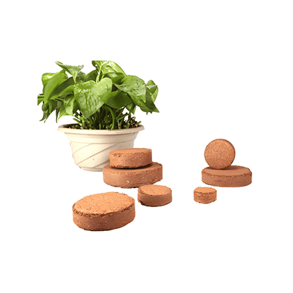 Organic Coconut Coir for Plants – Natural, Eco-Friendly Growing Medium for Healthy Plant Growth