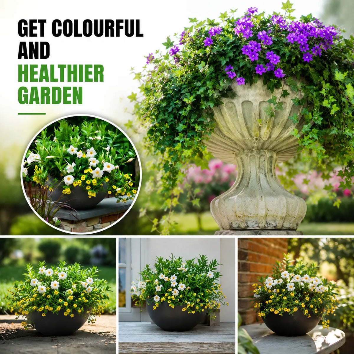 Plant Growth Booster Sticks – Pack of 25