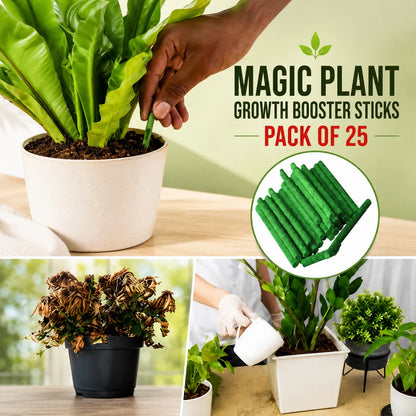 Plant Growth Booster Sticks – Pack of 25