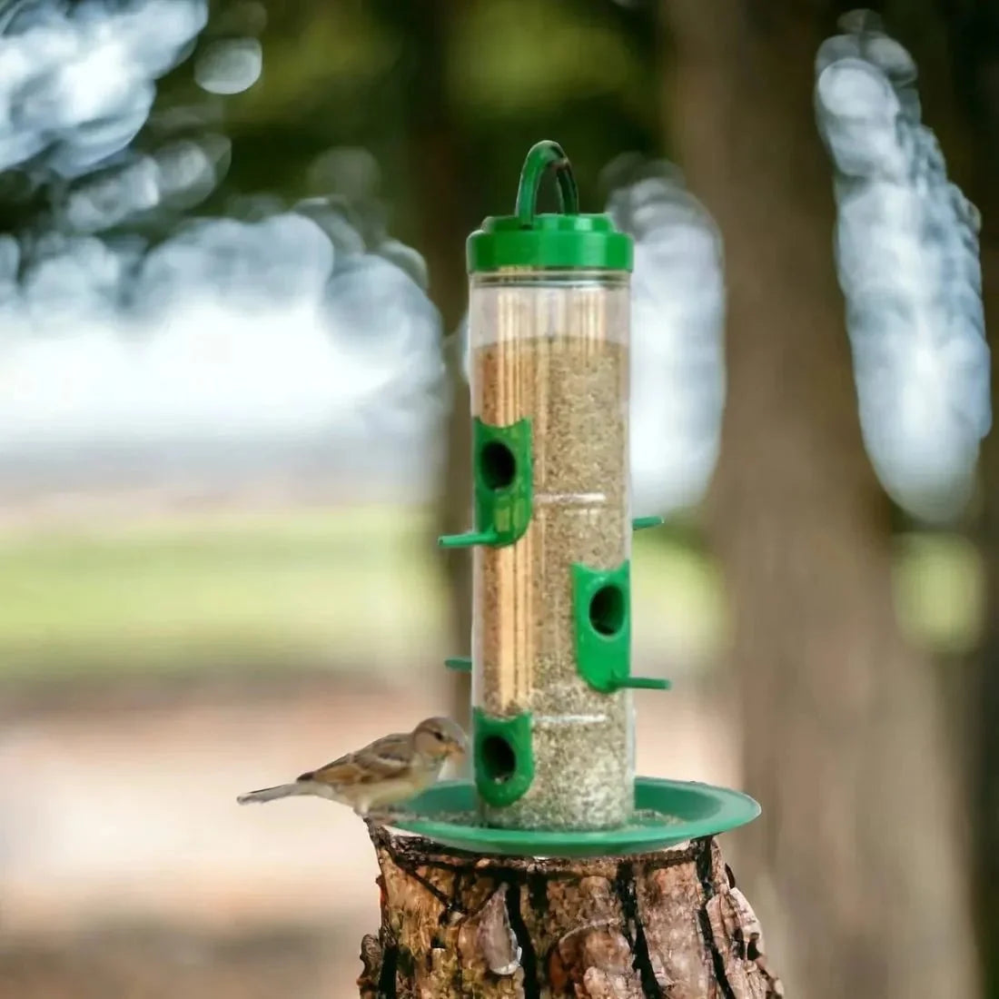 The Better Bird feeder